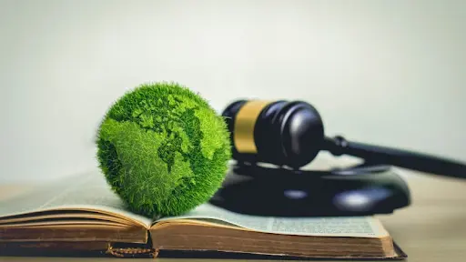 Navigating complex environmental rules and regulations.